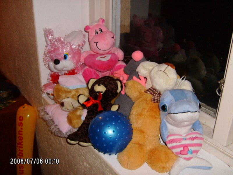 photo24.jpg