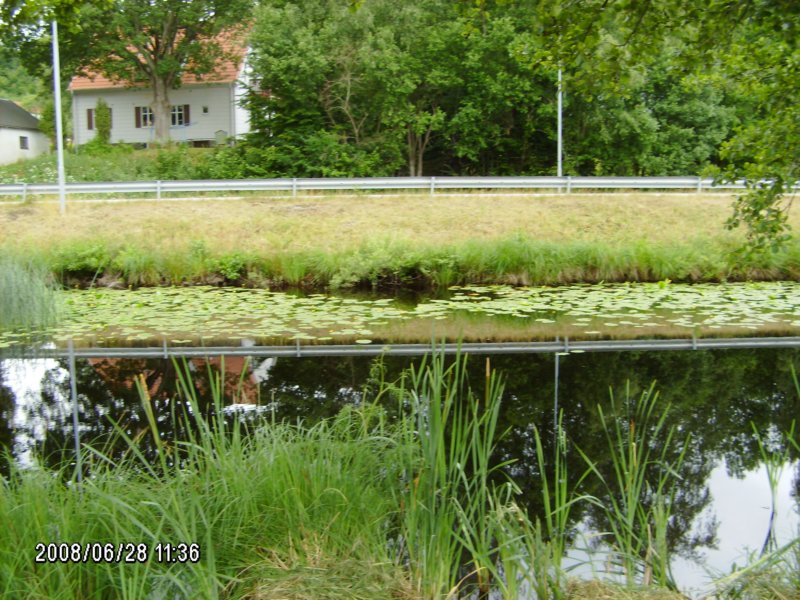 photo1.jpg